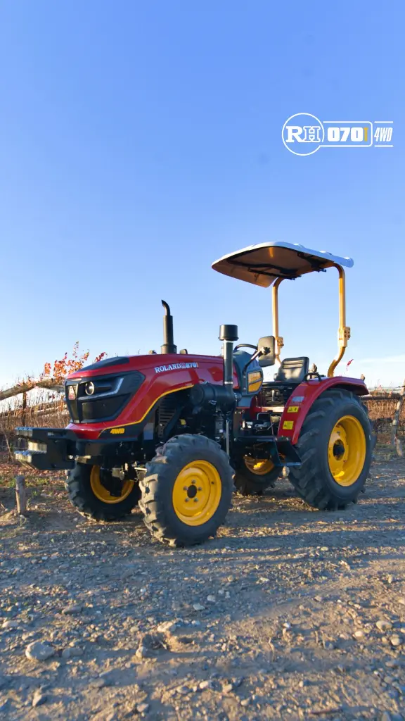 RH070 CON TECHO.webp