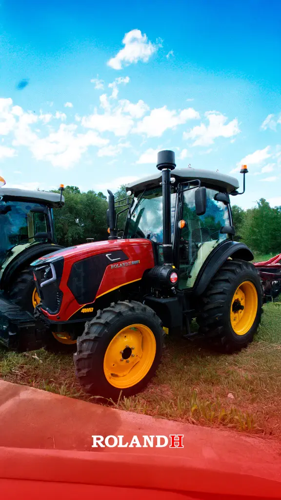 21 redimensionado.webp