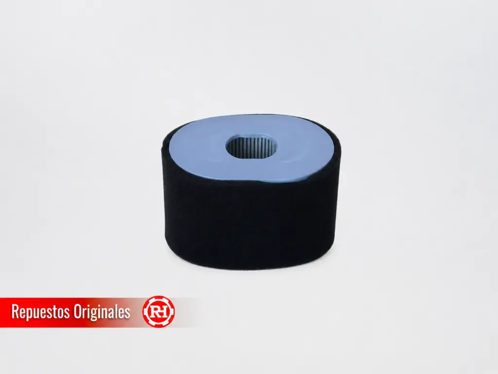 FILTRO-DE-AIRE-13HP-BYS-H001-REPUESTOS