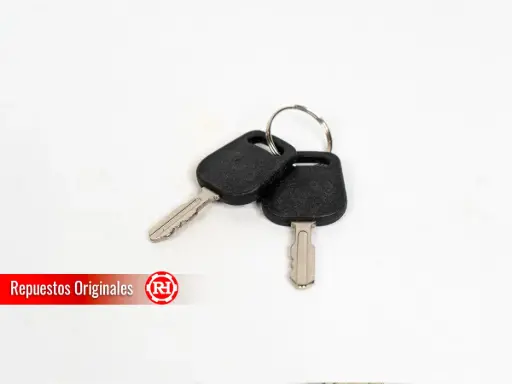 [N443900137] Llave de arranque DELTA 688P-001 RH108 / RH102 / RH122 / T-REX 2WD New / T-REX 4WD New / T-REX 4WD Old / T-REX 2WD Old