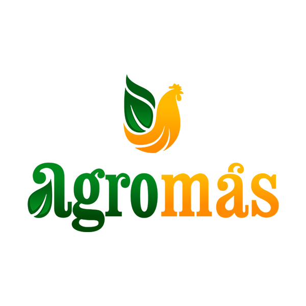 MONICA ESTELA OLIVERA DE ANTUNEZ